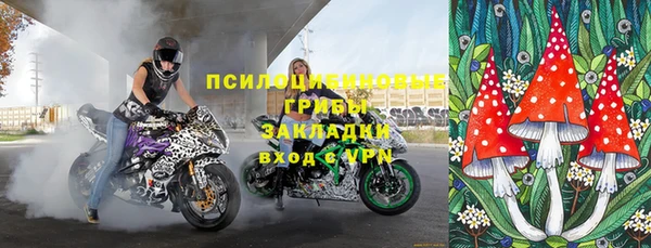 бошки Тавда