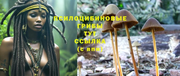 герыч Зерноград