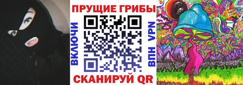 что такое   Сретенск  Галлюциногенные грибы MAGIC MUSHROOMS 